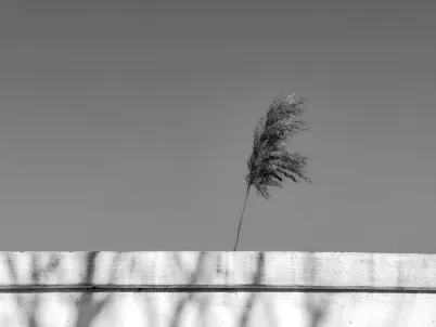 Kasino Classy Slots Apl Mudah Alih